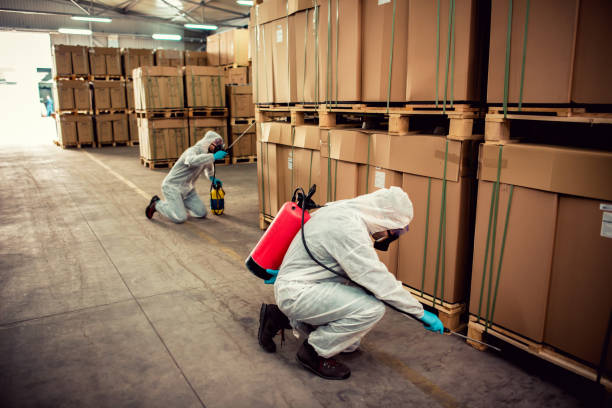 Best Residential Pest Control  in Biola, CA