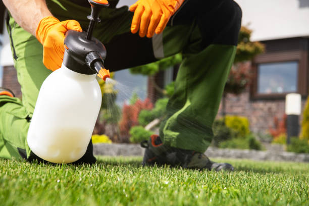 Best Best Pest Control Companies  in Biola, CA