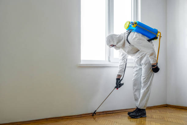 Best Best Pest Control Companies  in Biola, CA