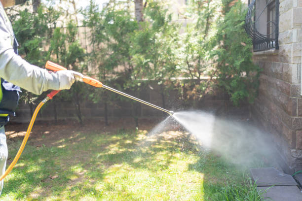 Best Pest Control Near Me  in Biola, CA