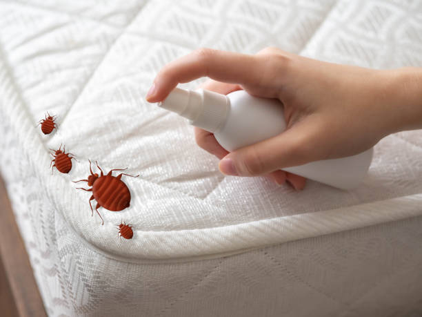 Biola, CA Pest Control Company