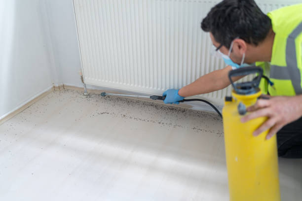 Best Emergency Pest Control  in Biola, CA
